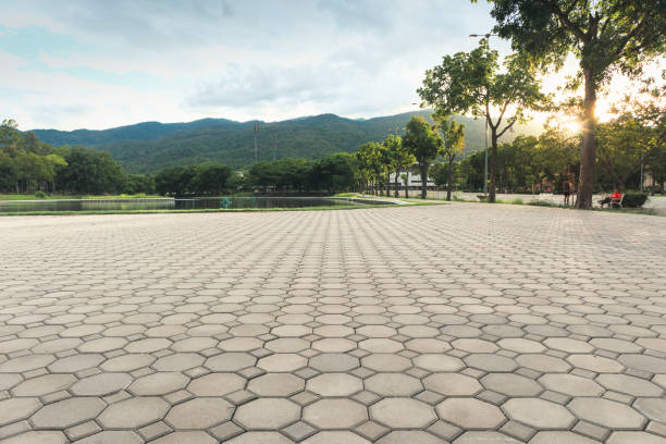 Best Custom Driveway Pavers  in Greenville, GA